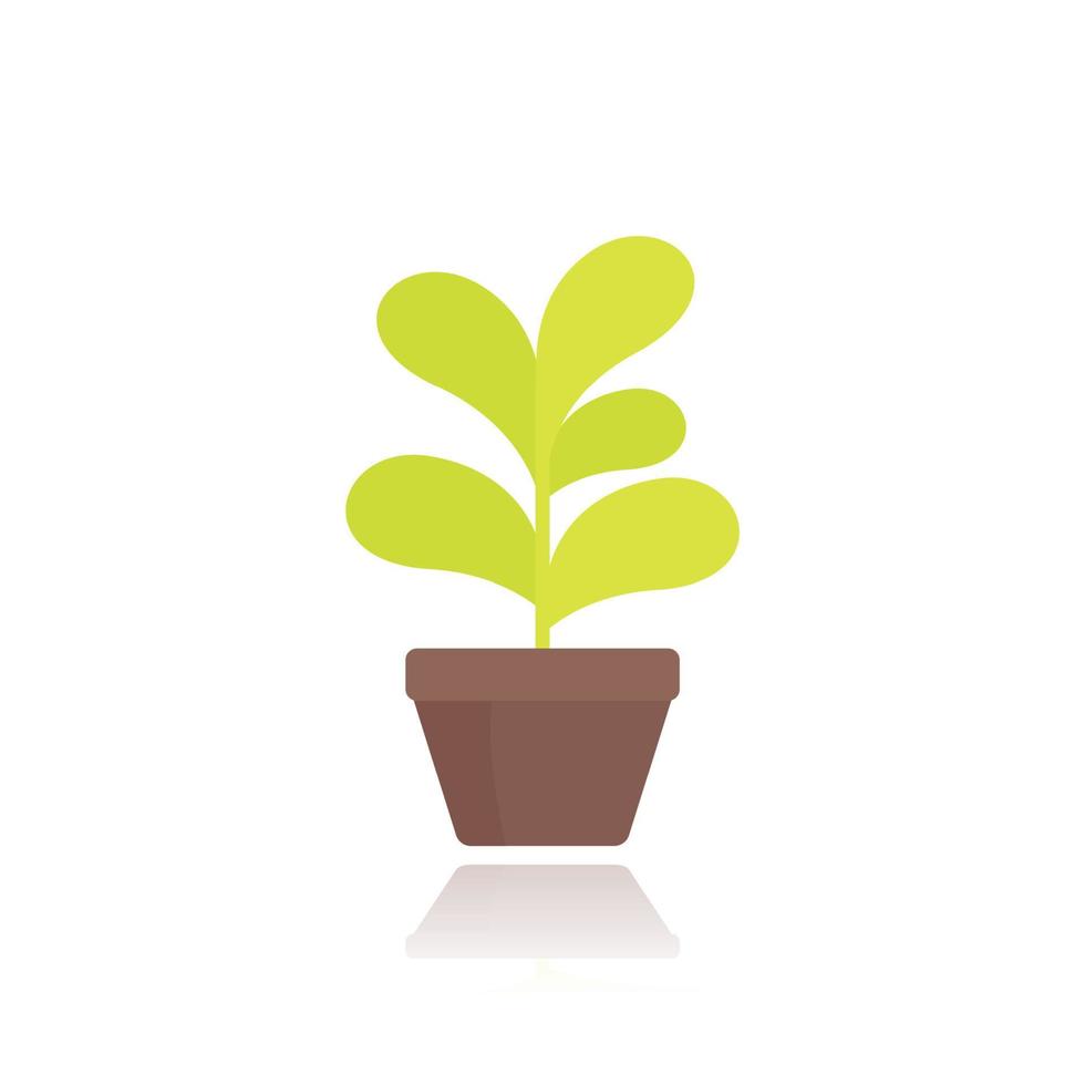 plant in pot in flat style vector