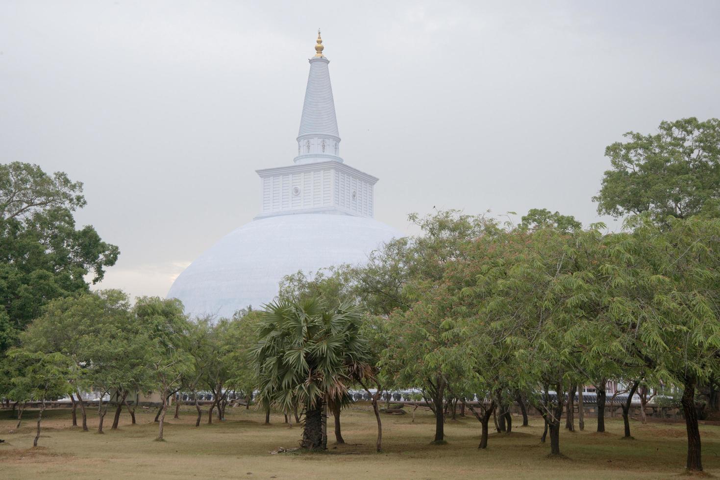 Ruwanweli Seya or Ruwanveli Dagaba Temple in Anuradhapura, Sri Lanka. No people photo