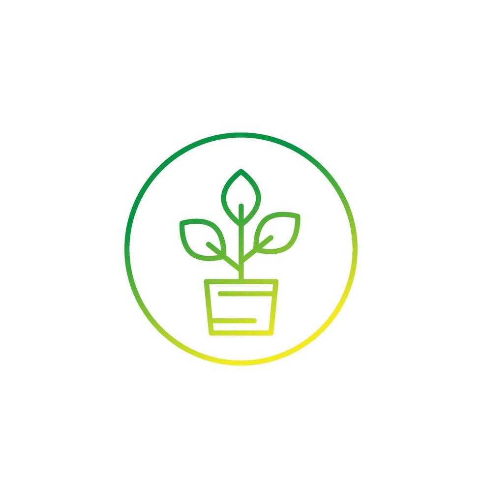 plant in pot, vector line icon