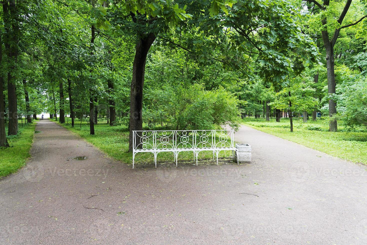 parque de verano con bancos blancos y senderos. foto