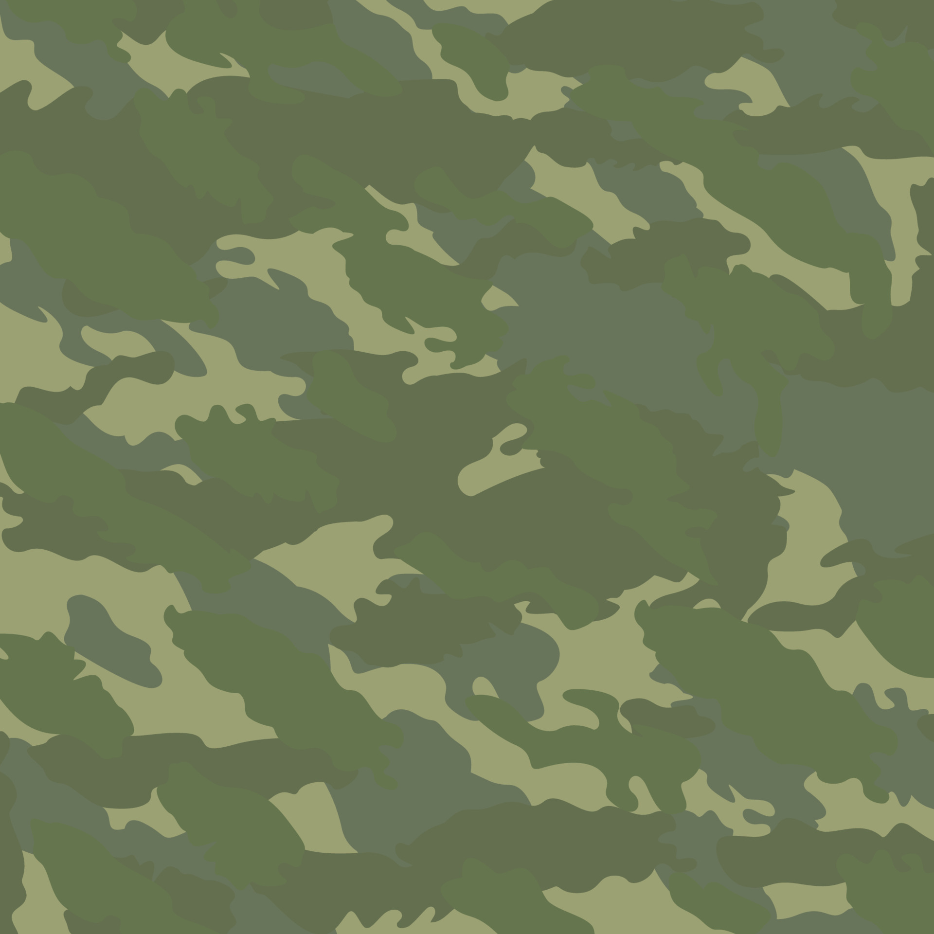 Russian berezka ussr soviet KGB Frontier border guard camouflage
