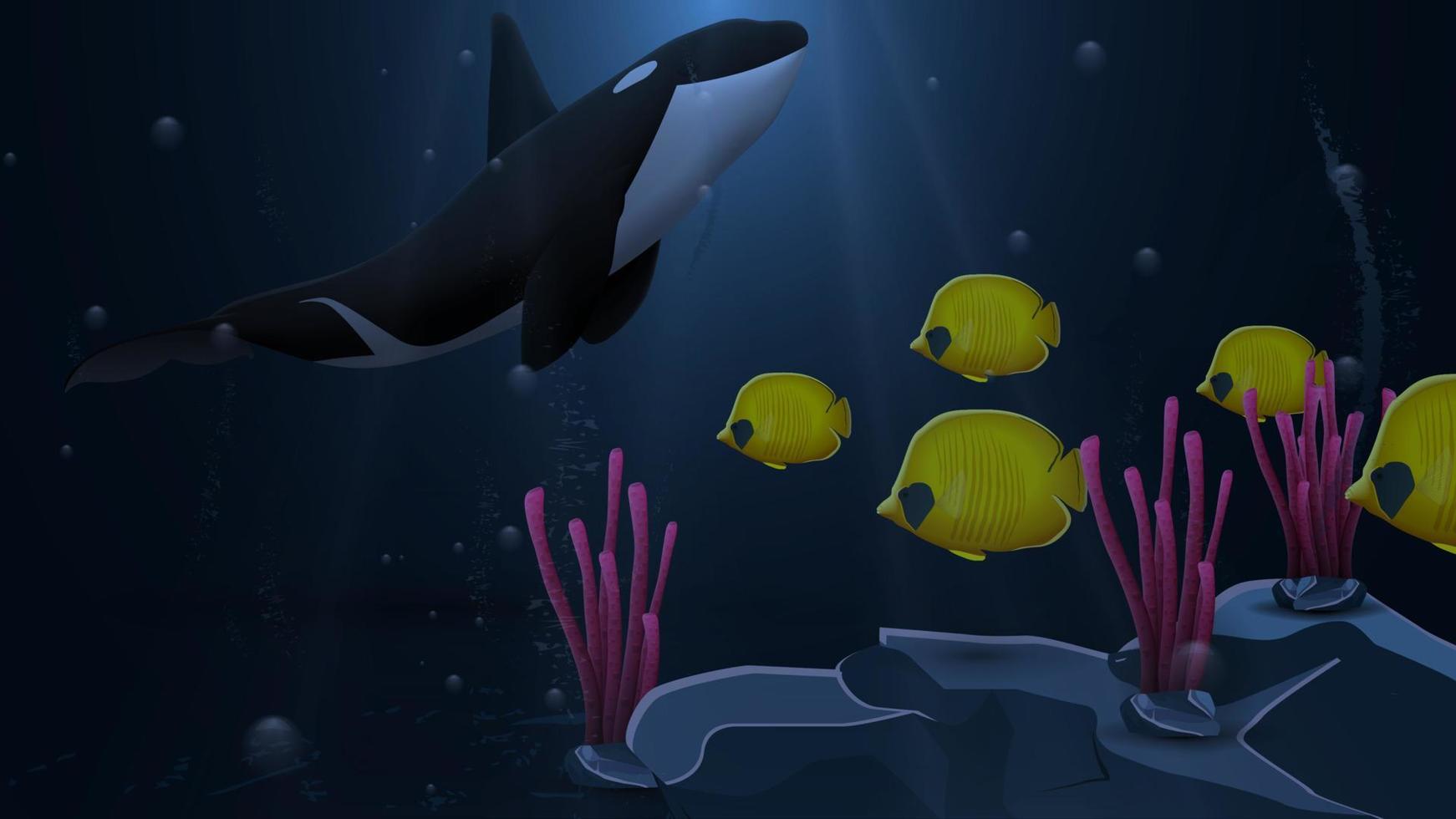Underwater world with killer whale and yellow fish, vector illustration