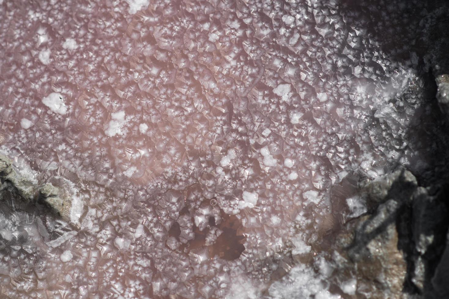 Background texture sea pink salt. Salt crystals close up. Pink salt lake. photo