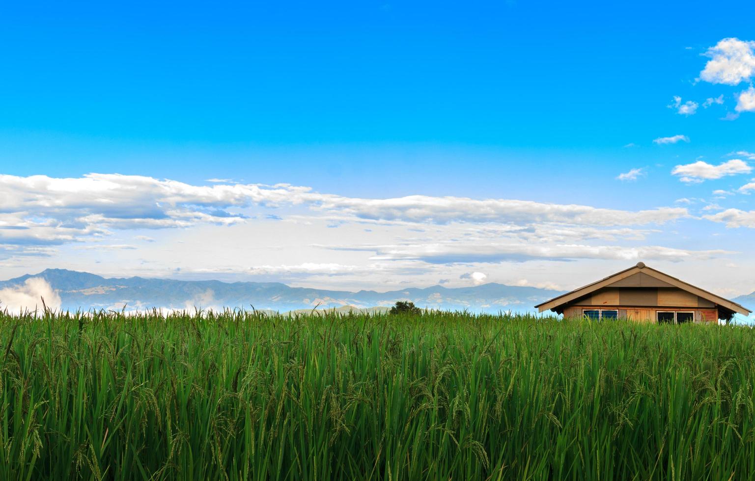 pequeñas casas, campos de arroz y hermosa naturaleza en el valle. imagen de fondo de serenidad foto
