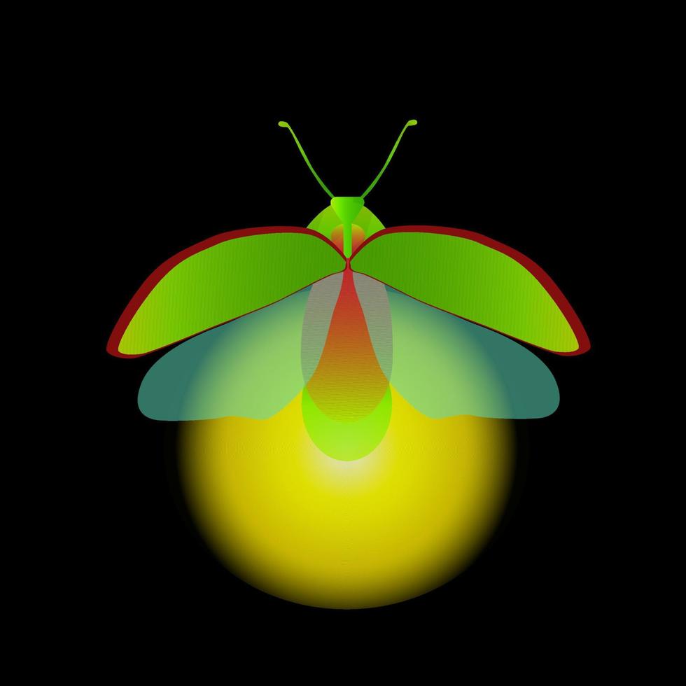 Vector Illustration of a Green Firefly Isolated on a Black Background