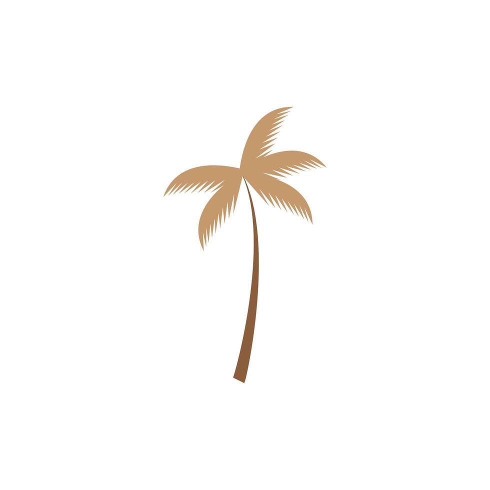 coconut tree icon vector illustration