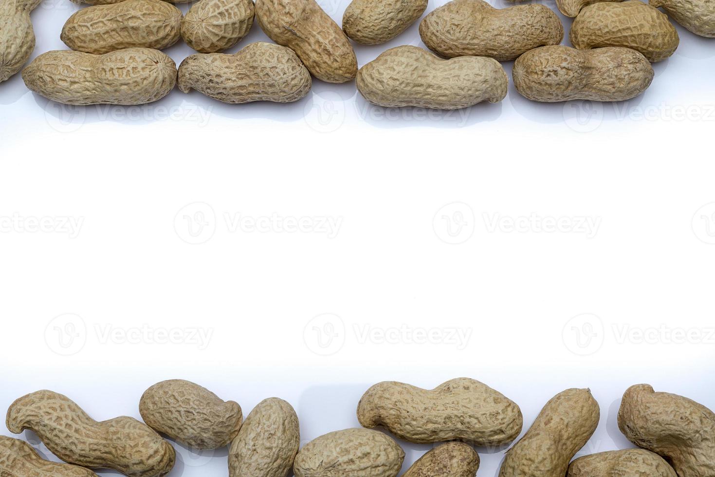 Peanut in the shell close-up. photo