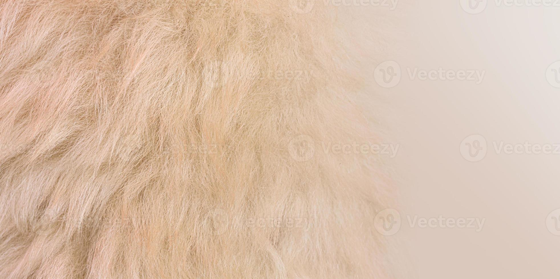 close up wool background photo