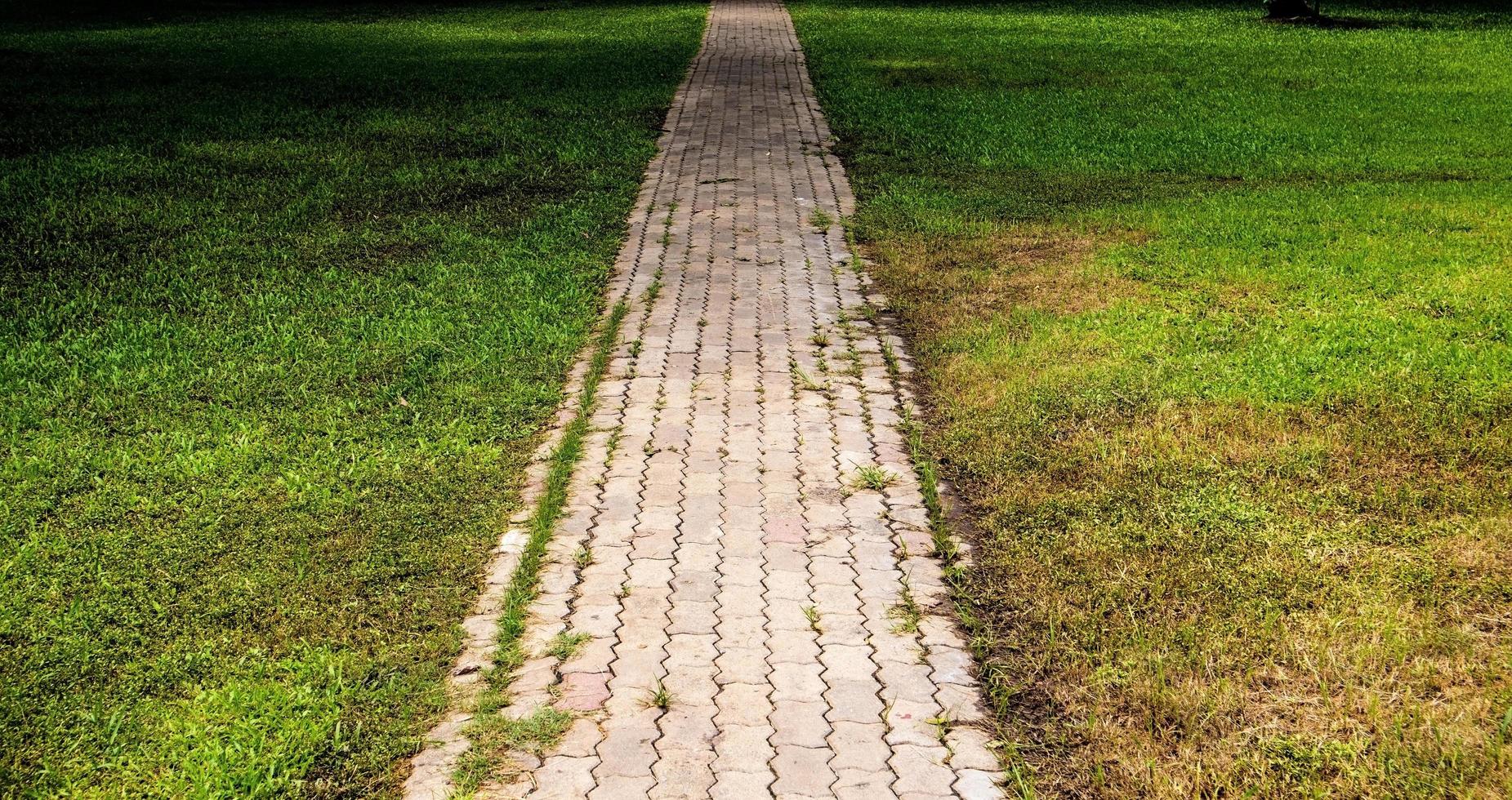 Brickpath, sidewalk with rough way, storytelling. photo