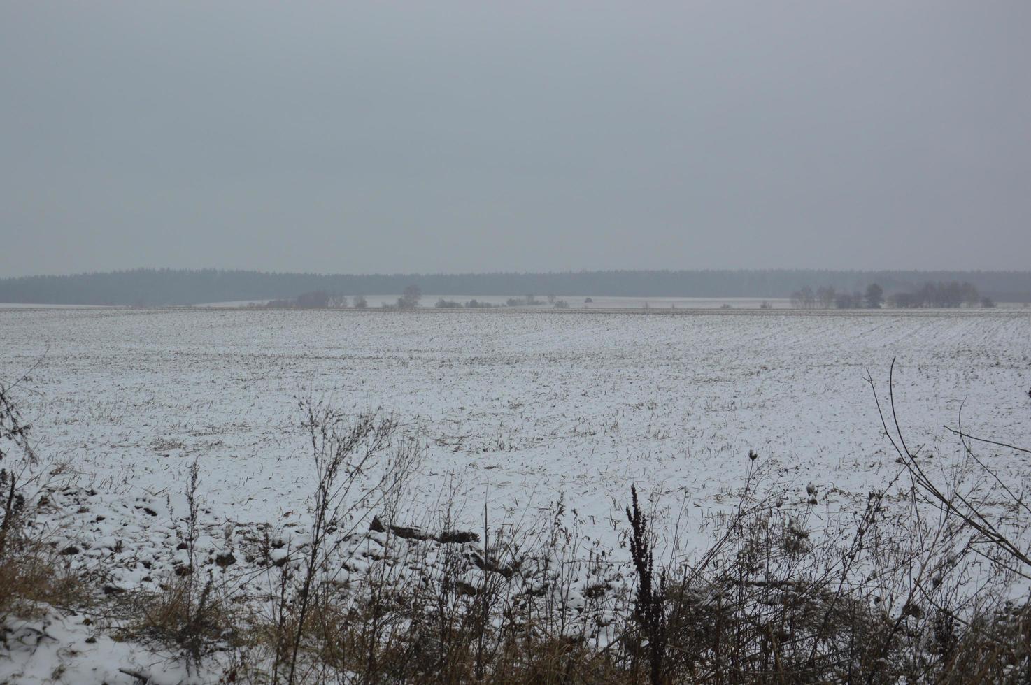 Panorama of an agricultural field covered with snow in winter photo