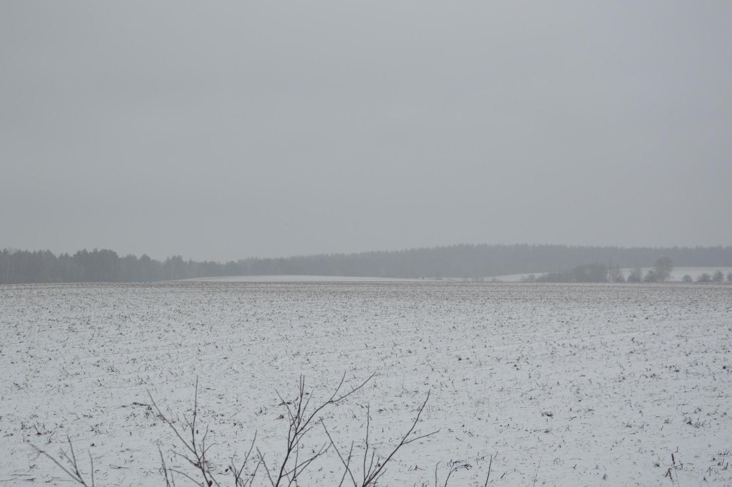 Panorama of an agricultural field covered with snow in winter photo