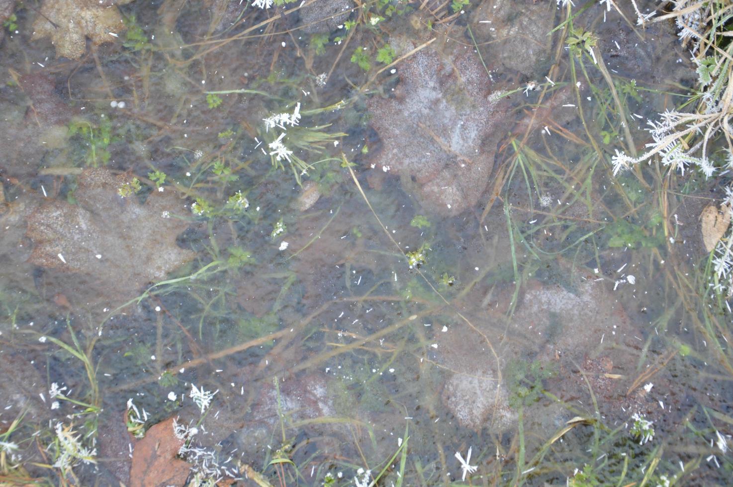 Ice texture on the ground winter patterns photo