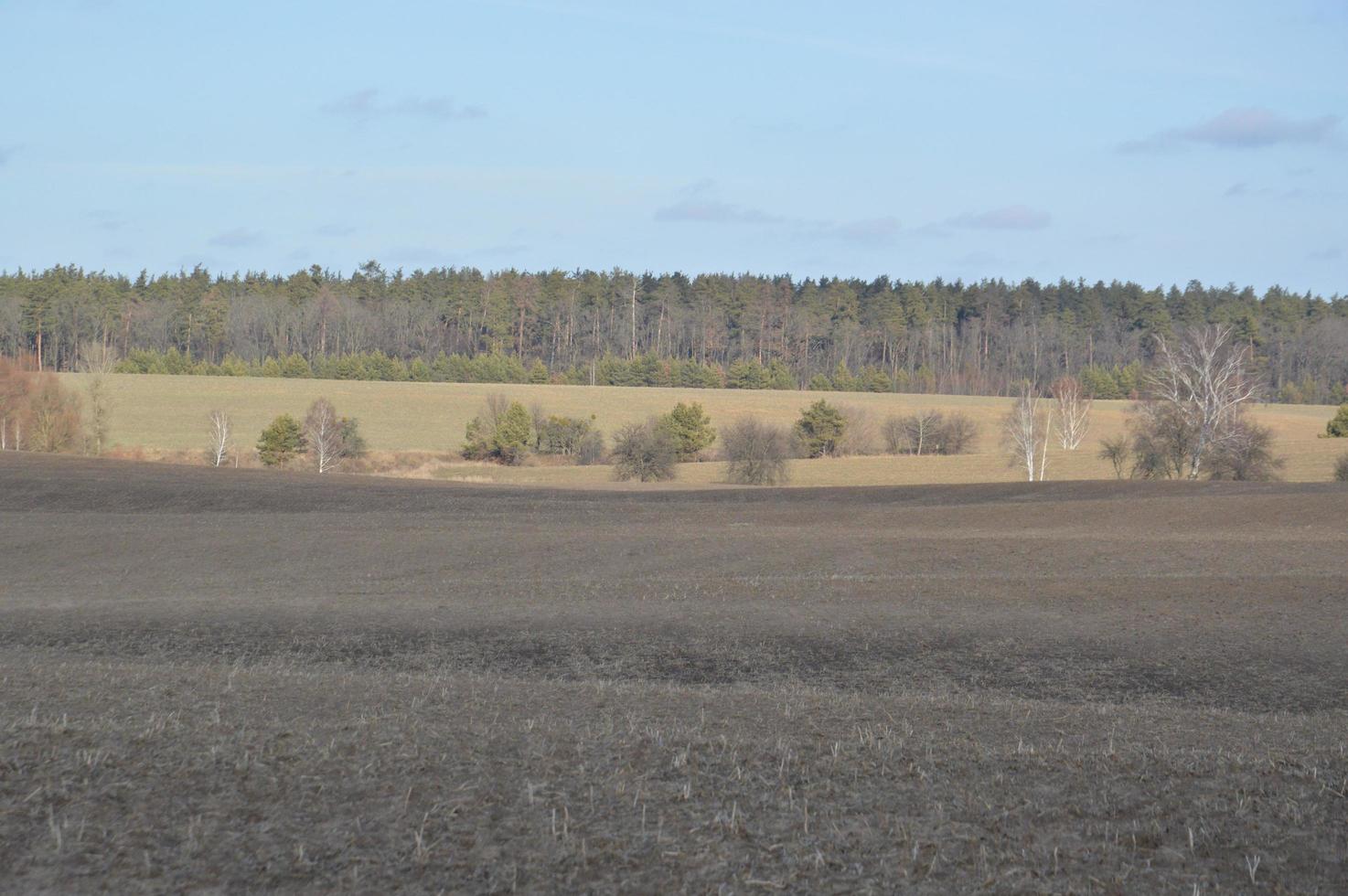 Panorama of agricultural field in winter photo