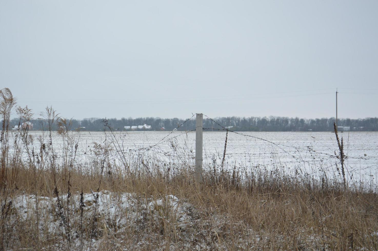 Panorama of an agricultural field covered with snow in winter photo