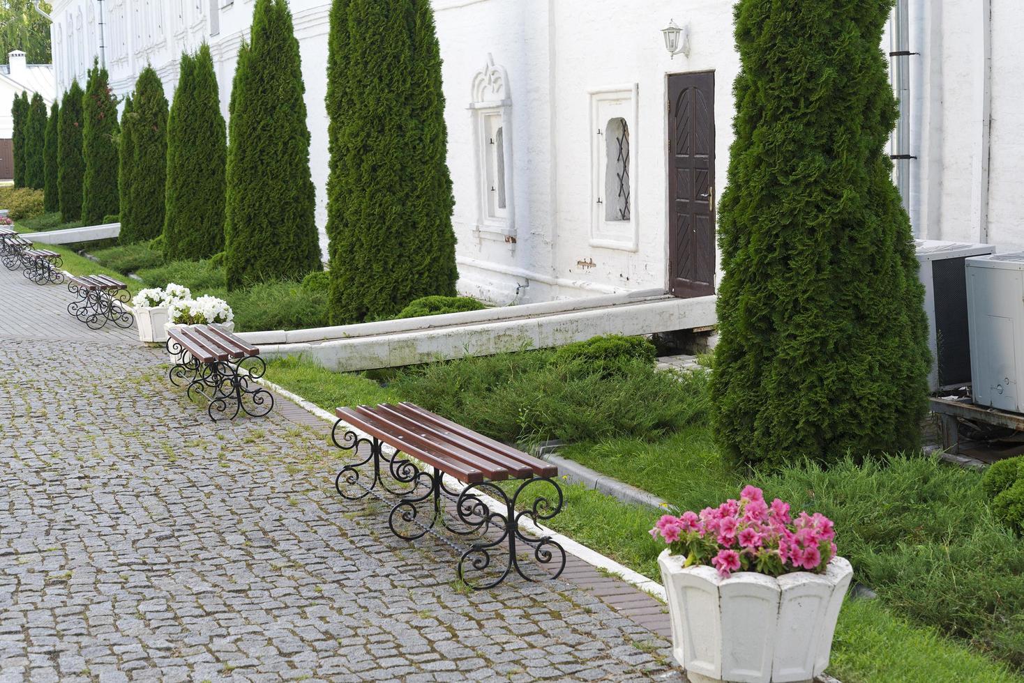 Benches along the sidewalk, trees and white building. photo