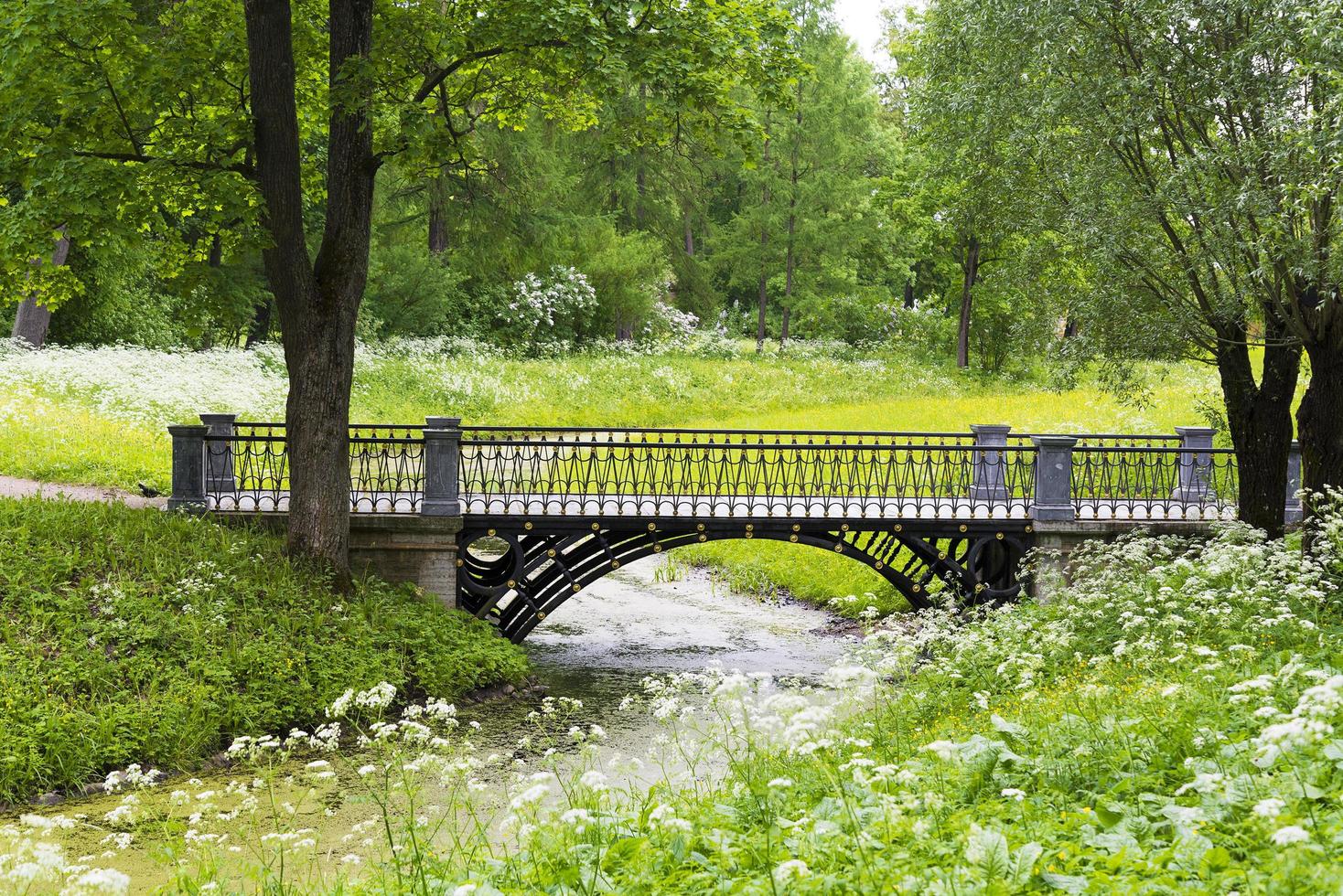 Stone bridge with an arch across the stream in the summer Park. photo