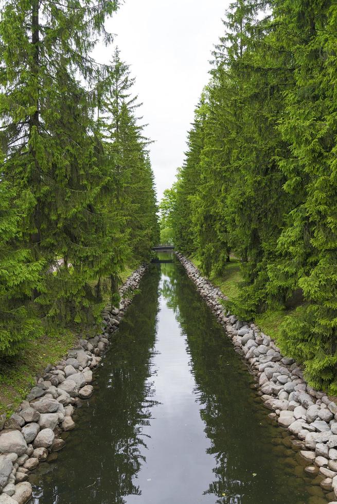 A small water channel with coniferous trees and a bridge. photo