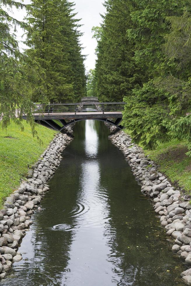 A small water channel with coniferous trees and a bridge. photo
