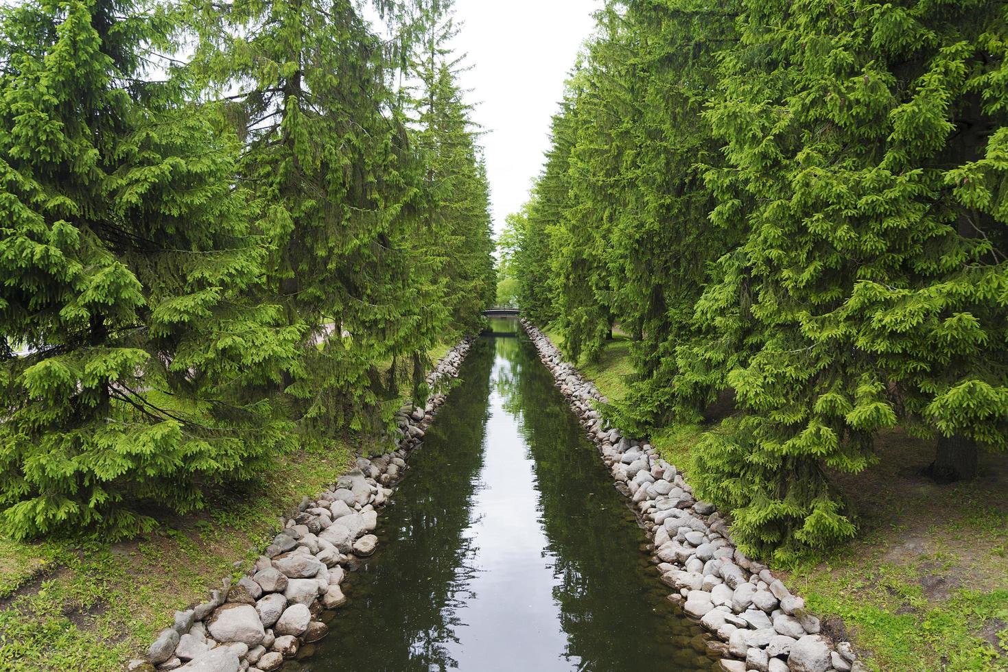 A small water channel with coniferous trees and a bridge. photo