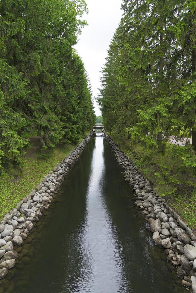 A small water channel with coniferous trees and a bridge. photo