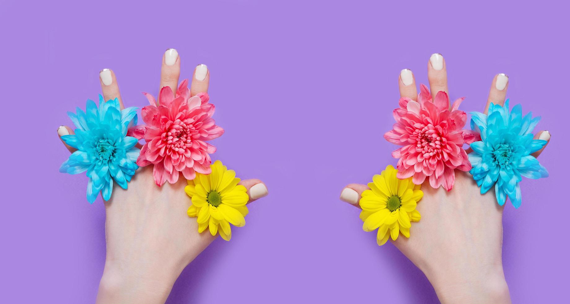 mano de mujer y flores amarillas, azules y rosas aisladas en el fondo. concepto de verano y primavera. diseño de moda y manicura. vista superior y espacio de copia. burlarse del día de la madre. bandera foto