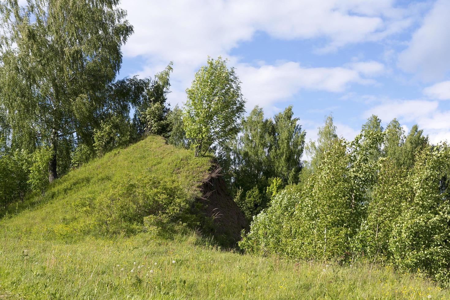 The concept of ecology. Trees, a hill and a beautiful sky photo