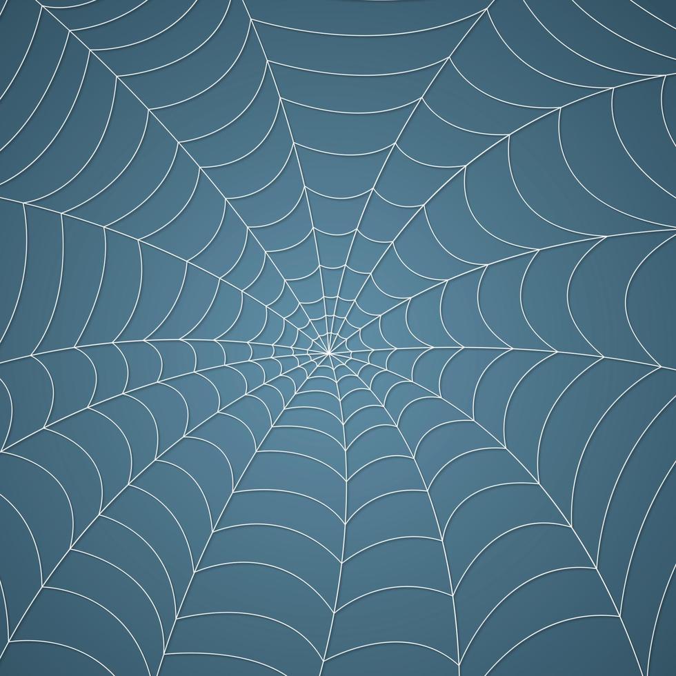 Spider web, cobweb pattern background vector