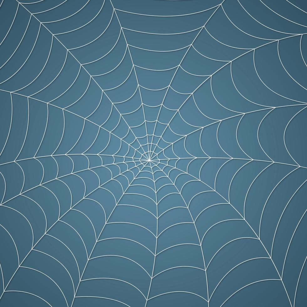 tela de araña, fondo de patrón de telaraña vector