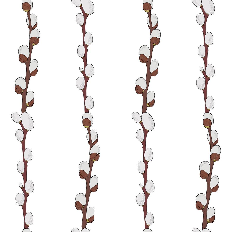 Willow seamless pattern on white background. Spring, Easter, spring trees. Printing on textiles.Abstract background. Vertical willow branches.Vector vector