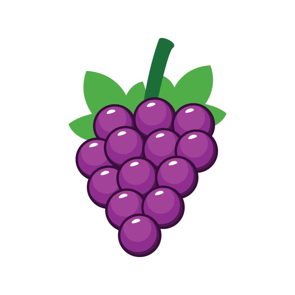 Fruit grapes vector cartoon flat design