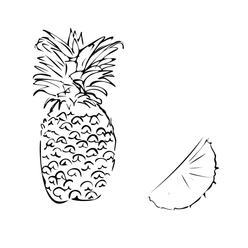 Vector illustration of a pineapple on a white isolated background. Shop sketch, banner, menu, and logo. Black and white outline.