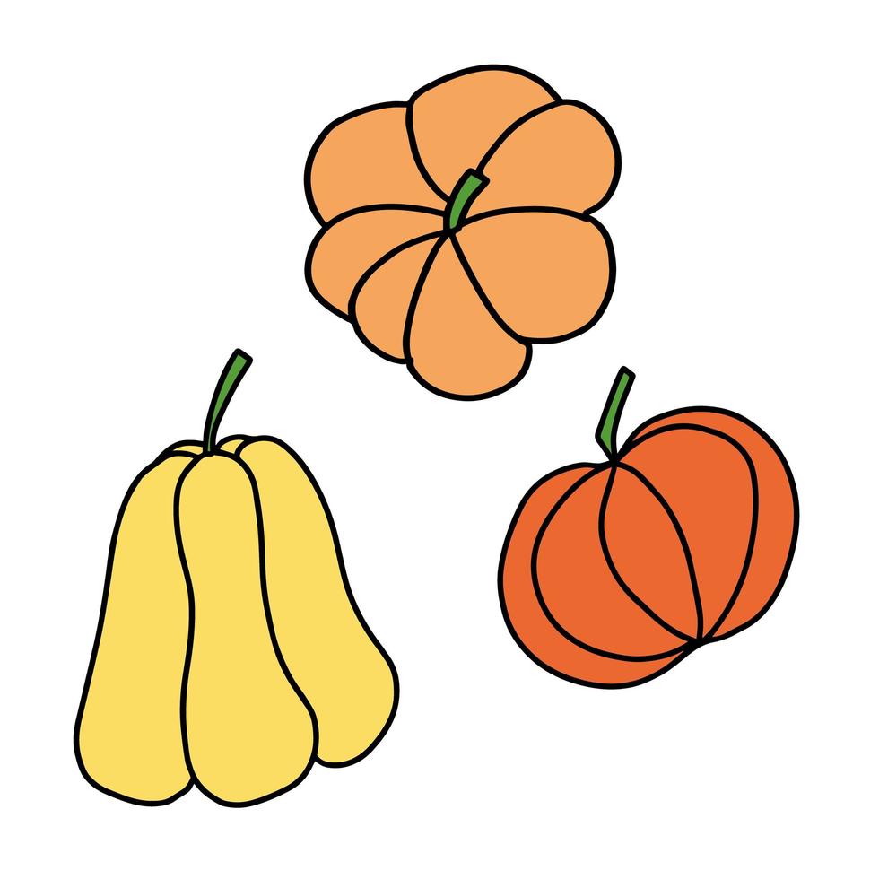 conjunto de diferentes tipos de calabazas. cosecha de verduras de otoño, ilustración de garabatos vectoriales sobre fondo blanco. vector