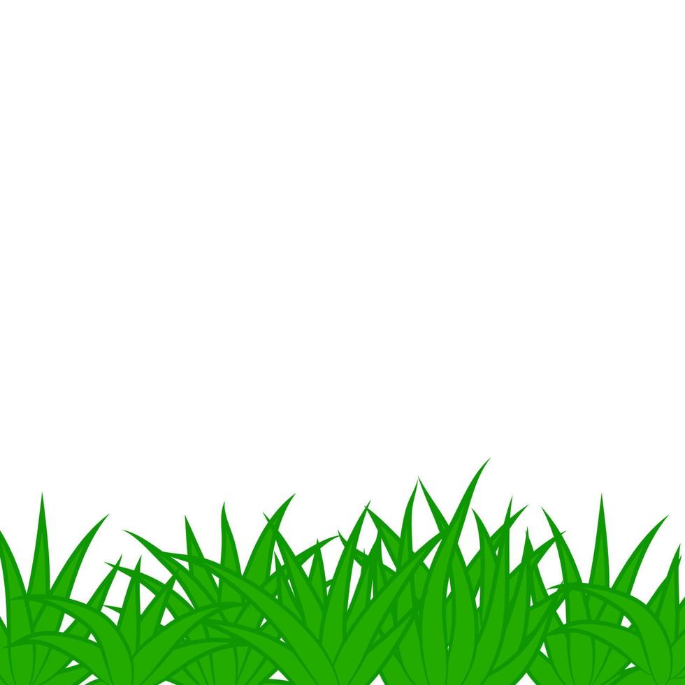 Card with green grass isolated on white background with empty space. vector