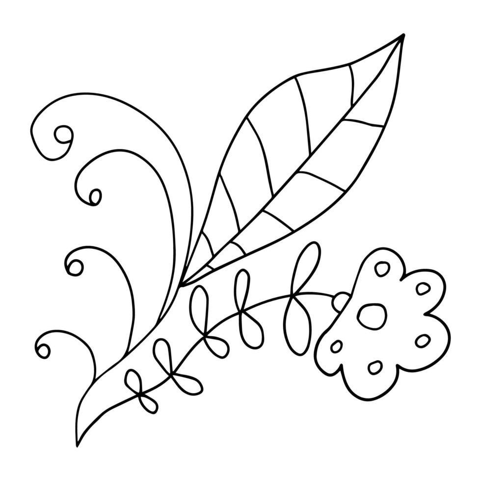 separador floral de dibujos animados de fideos abstractos aislado sobre fondo blanco. brotes con hojas y bayas. vector