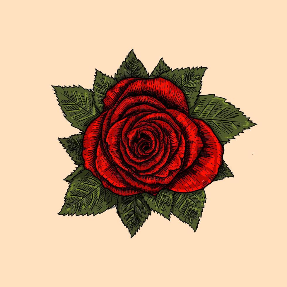 ilustración de vector libre de grabado de flor rosa roja