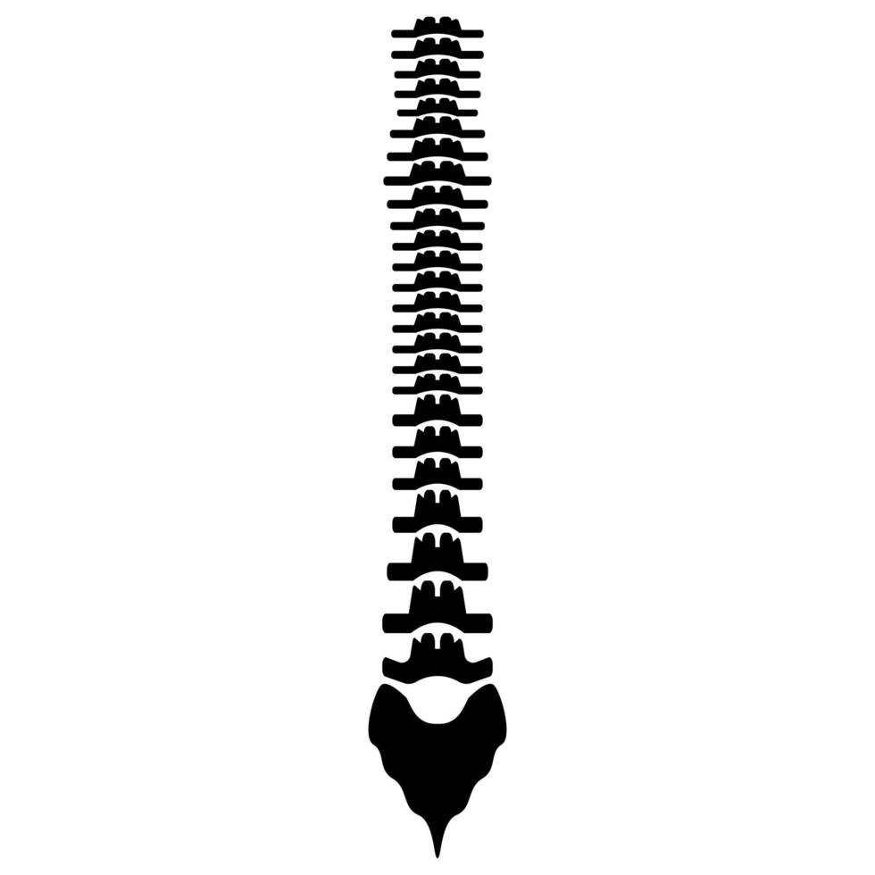 Human spine icon black color vector illustration image flat style