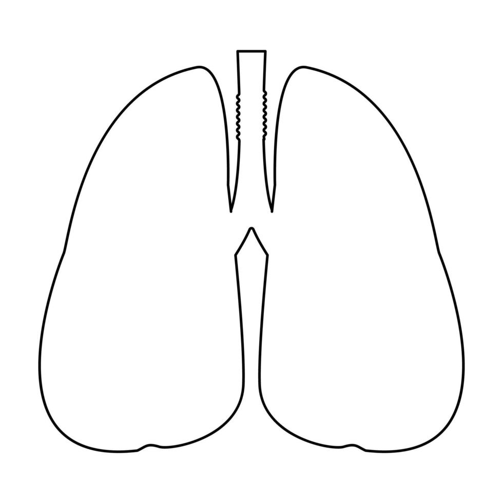 Lungs outline black color vector