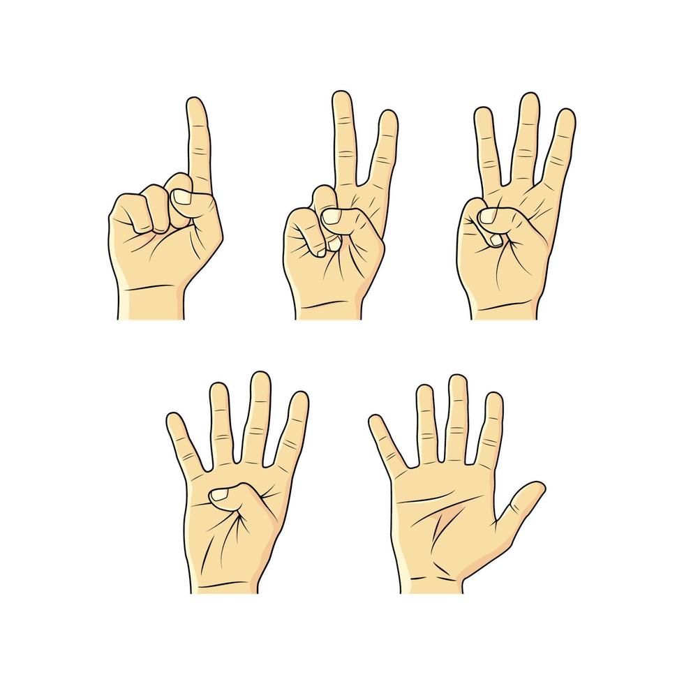 Collection of hand sketches, fingers and numbers vector