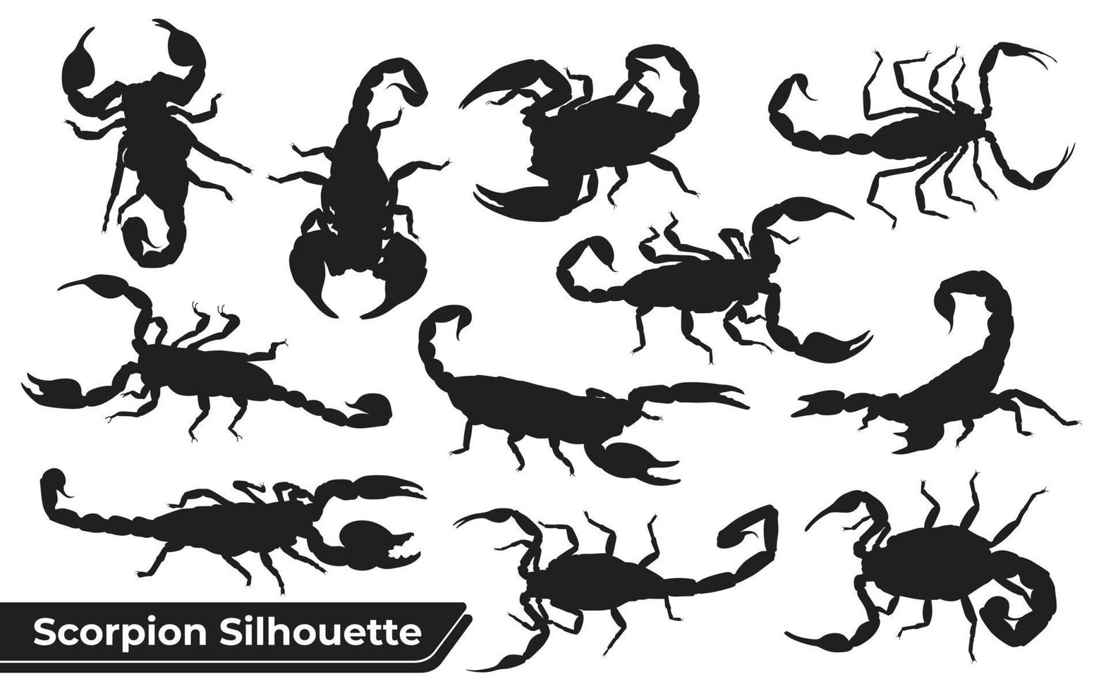 vector de siluetas de escorpión animal