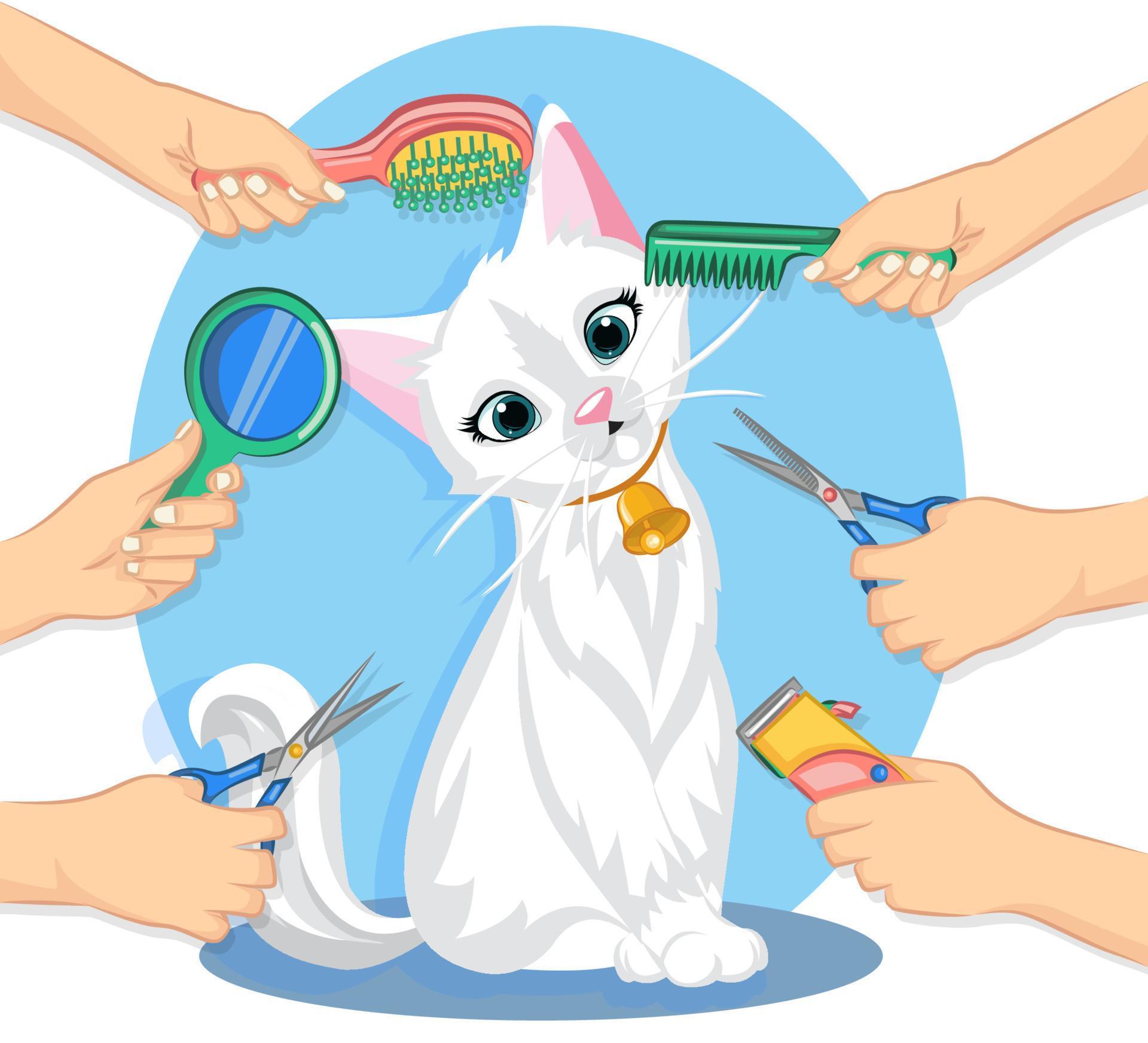 cute cat with tool of pet grooming in flat vector style. Pet grooming