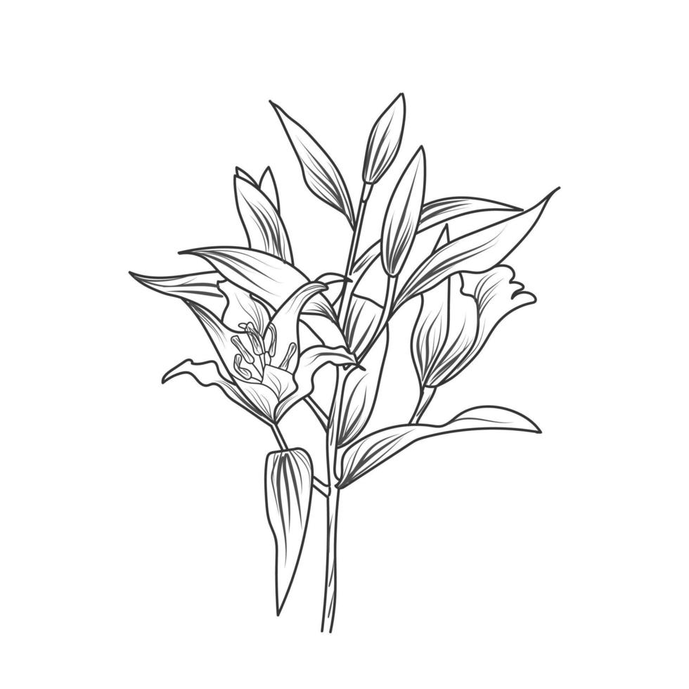 arte de línea de flor de boceto. ilustración vectorial dibujada a mano abstracta. diseño de arte de plantas abstractas para impresión, decoración del hogar, portada, papel tapiz, carteles de arte de pared mínimos y naturales vector