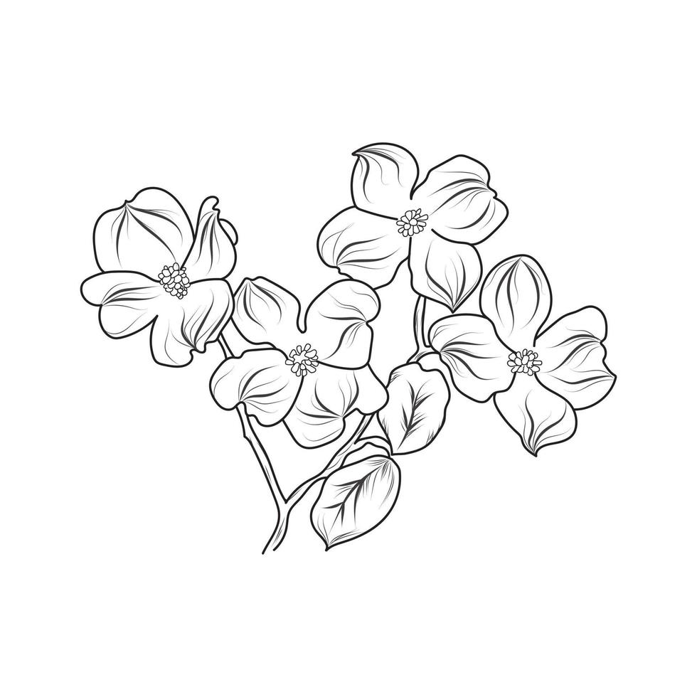 arte de línea de flor de boceto. ilustración vectorial dibujada a mano abstracta. diseño de arte de plantas abstractas para impresión, decoración del hogar, portada, papel tapiz, carteles de arte de pared mínimos y naturales vector