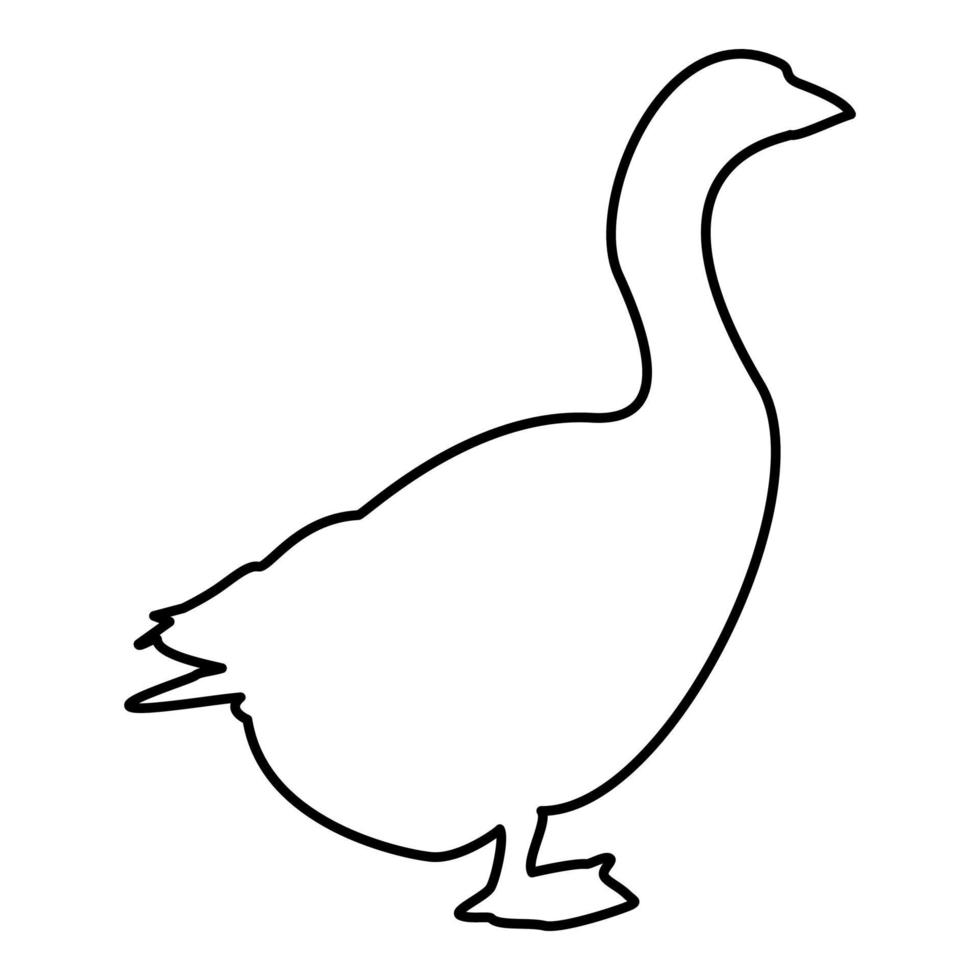 Goose Gosling Geese Anser Gander contour outline vector