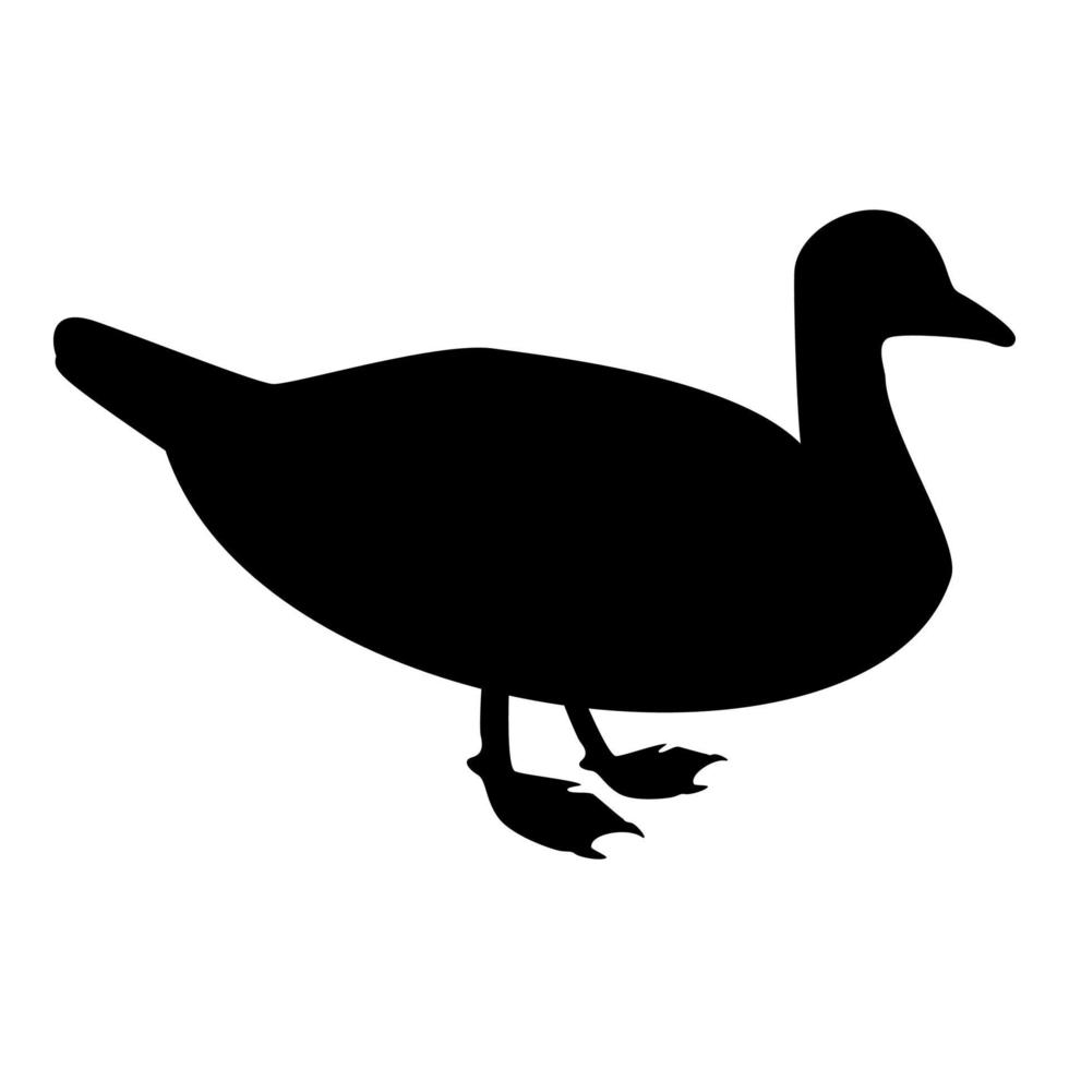 silueta pato macho ánade real ave aves acuáticas vector