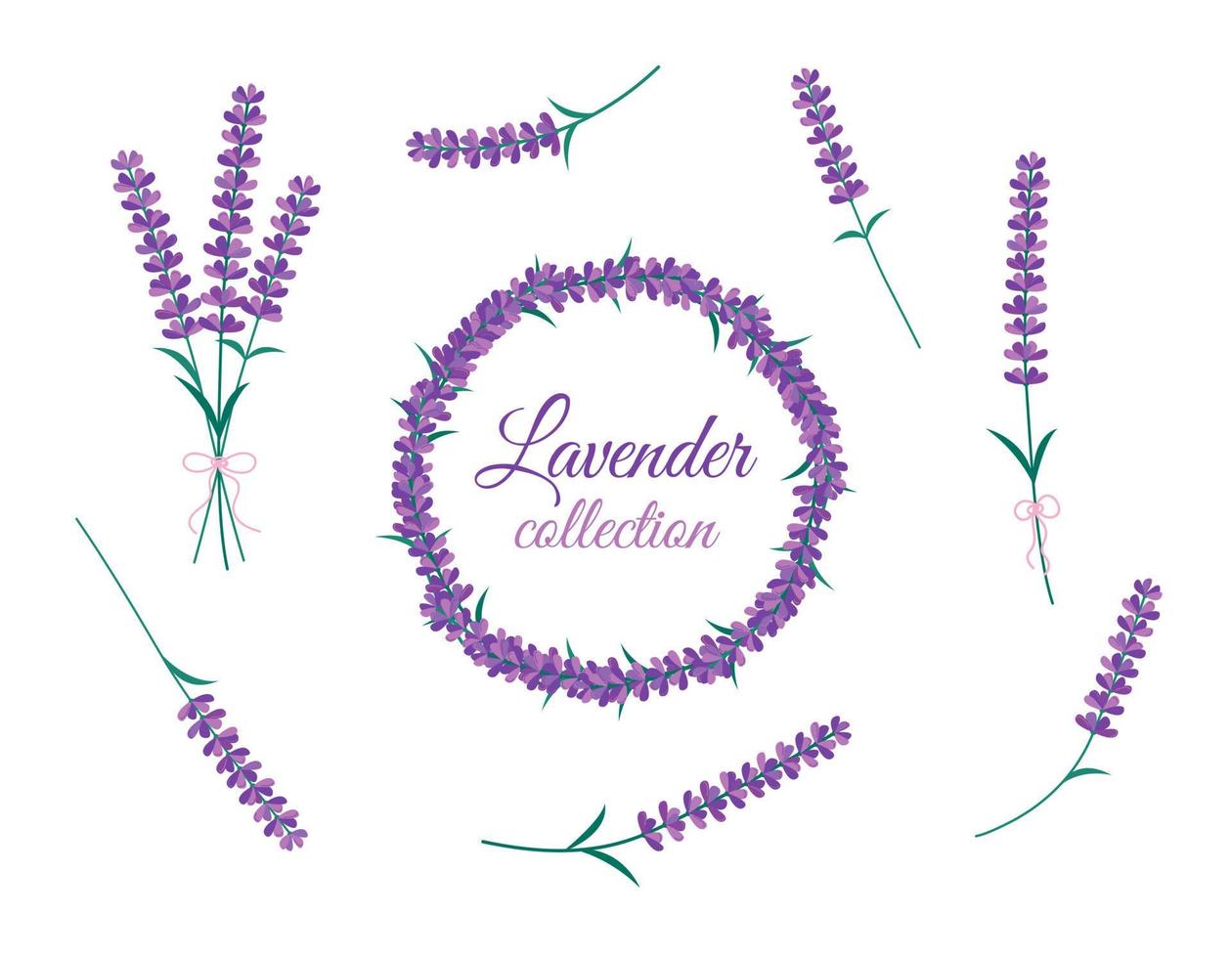 Lavender flowers isolated set. Vector collection of blooming Lavender flowers. Bouquet, round frame and design floral elements on white backround