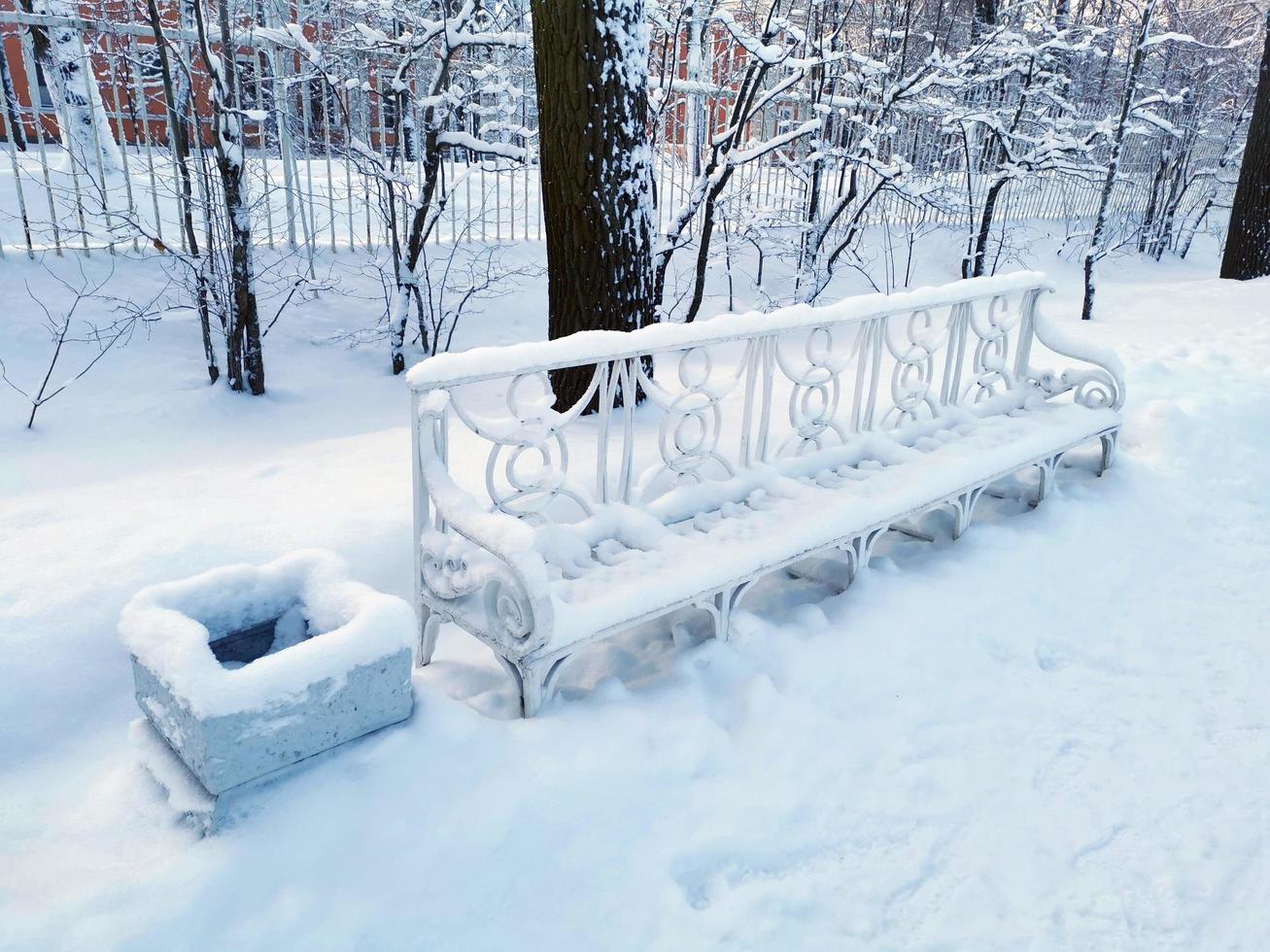 Catherine Park in Pushkin on a winter day photo