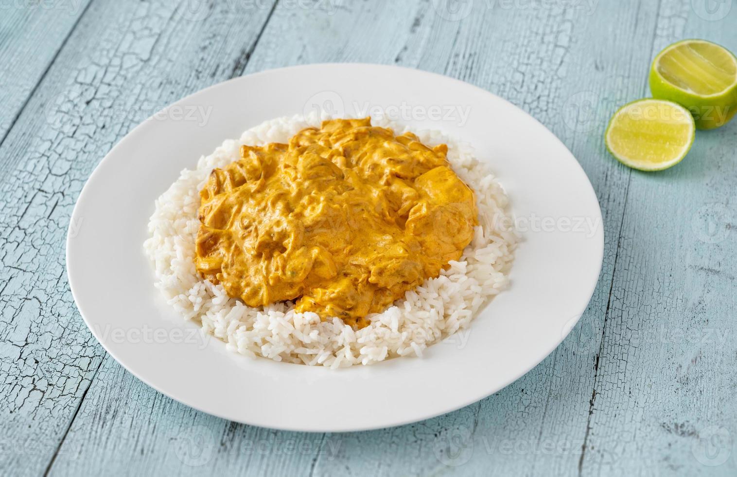 Portion of chicken curry photo