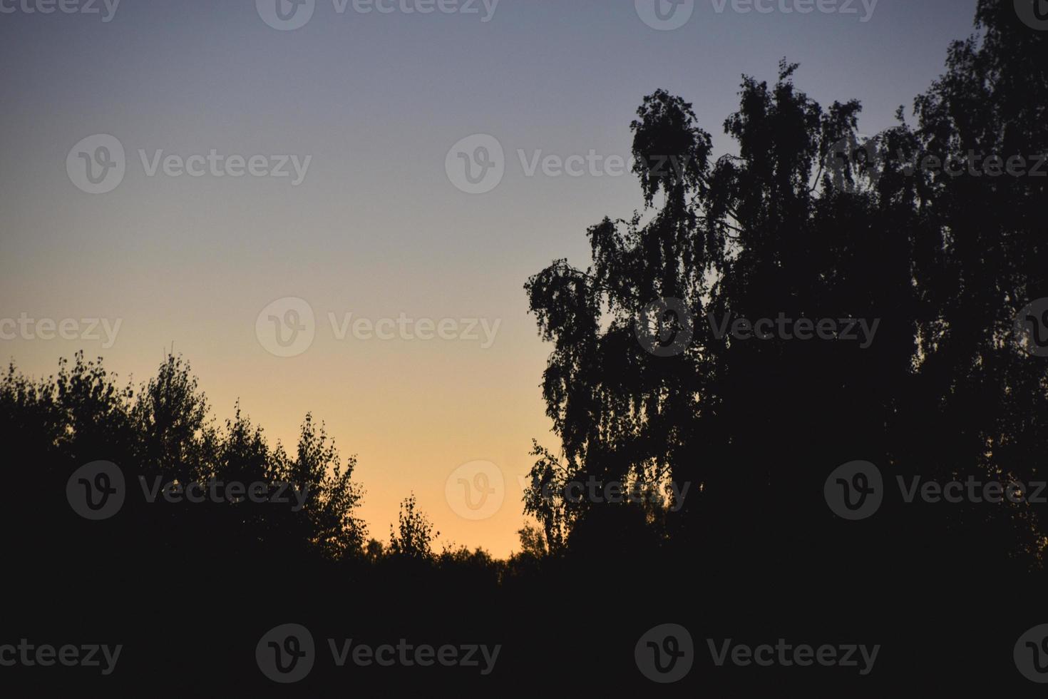 Evening moonlit rural landscape with blue sky photo