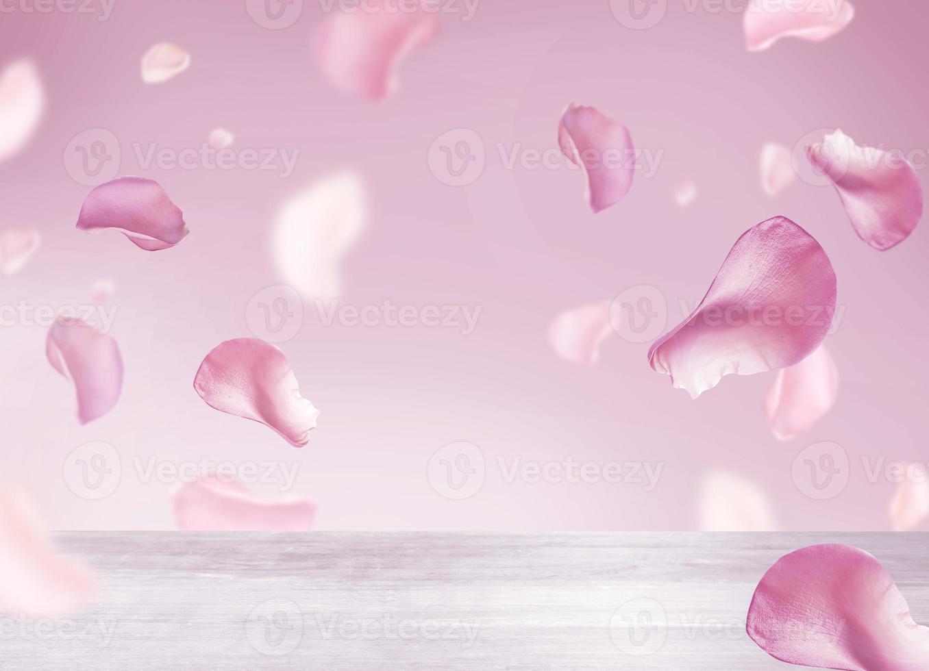 roses petal flying photo