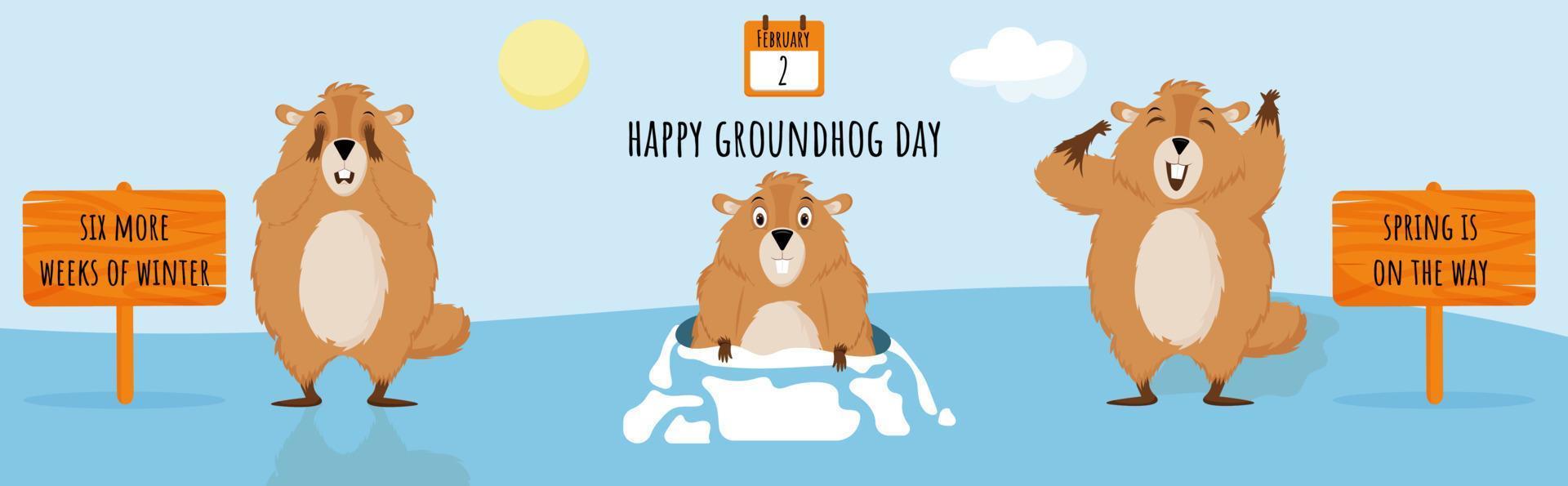 Happy Groundhog Day. Diagram with illustrations of cute and funny Groundhogs. Vector illustration.